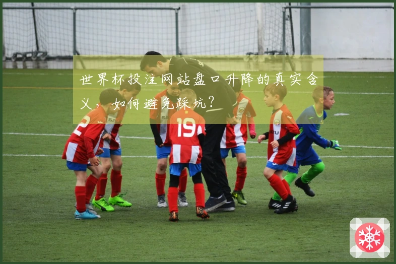 世界杯投注网站盘口升降的真实含义，如何避免踩坑？