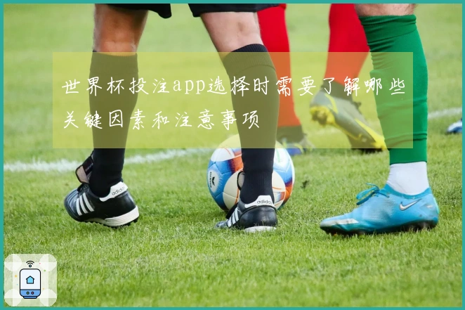 世界杯投注app选择时需要了解哪些关键因素和注意事项