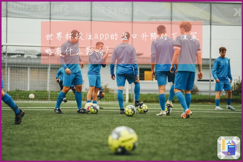 世界杯投注app的盘口升降对下注策略有什么影响？
