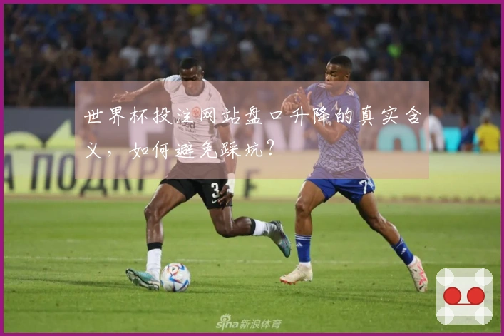 世界杯投注网站盘口升降的真实含义，如何避免踩坑？