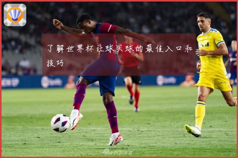 了解世界杯让球买球的最佳入口和技巧