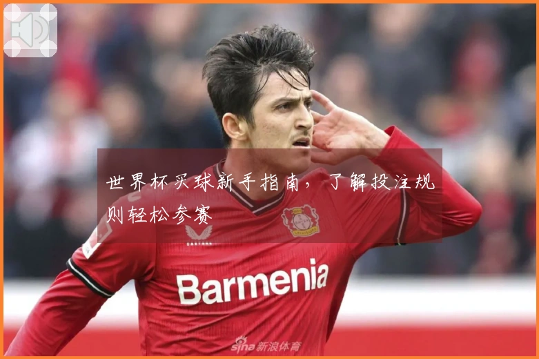 世界杯买球新手指南，了解投注规则轻松参赛