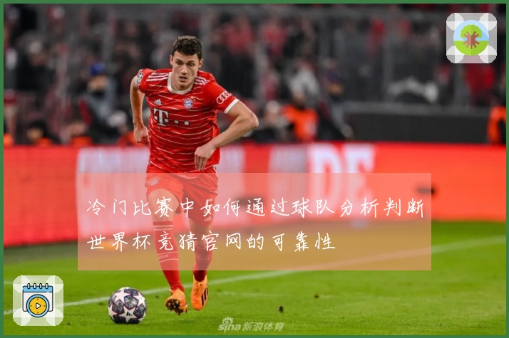 冷门比赛中如何通过球队分析判断世界杯竞猜官网的可靠性